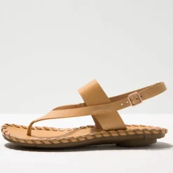 Femme Neosens 3281 Nebbiolo